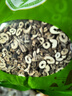 丹皮牡丹皮新貨農(nóng)家無硫牡丹皮精選去芯老丹皮粉丹皮粉白牡丹皮 牡丹皮250克 曬單實(shí)拍圖