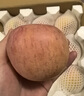 脆甜煙臺紅富士蘋(píng)果丑蘋(píng)果大果棲霞紅富士蘋(píng)果平果當季應季水果 山東煙臺蘋(píng)果 凈4斤85mm+ 曬單實(shí)拍圖