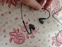 森海塞爾（Sennheiser）IE300/IE200/IE600/IE900 有線耳機旗艦級HiFi音樂高保真動圈入耳式耳掛耳塞中秋節(jié)國慶節(jié)生日禮物 IE300【進階高保真HIFI耳機】 曬單實拍圖
