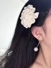 伊燦長(zhǎng)款流蘇仿珍珠耳釘女絕美小眾設(shè)計(jì)高級(jí)感耳飾2025年新款爆款耳環(huán) 珍珠耳飾 100000 曬單實(shí)拍圖