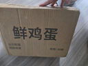 農(nóng)家土雞蛋谷物喂養(yǎng)新鮮現(xiàn)撿包郵50g/枚雞蛋生鮮鮮雞蛋水煮蛋 30枚 曬單實拍圖
