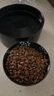 麥富迪貓糧 超肉粒凍干雙拼成貓糧美毛護(hù)腸胃 三文魚2kg 曬單實拍圖