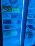 BAKDASH全屏立式冷凍展示柜速凍食品冷凍柜海鮮肉類低溫柜速凍柜大容量冰柜商用超市冷柜 Pro丨-18~-22℃丨雙門 曬單實(shí)拍圖