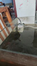 YEE水族魚(yú)缸過(guò)濾器內置三合一過(guò)濾增氧系統水族箱養魚(yú)循環(huán)水泵氧氣泵 【一節】7W【適合魚(yú)缸60cm以?xún)取?曬單實(shí)拍圖