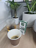 Glasslock 玻璃茶杯男女士專用茶水分離泡茶耐高溫杯子過濾花茶杯500ml 曬單實(shí)拍圖