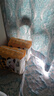 雀氏（Chiaus） 拉拉褲早安寶貝4XL30片(19-28kg)大寶尿褲【品牌直供 安心品質(zhì)】 曬單實拍圖