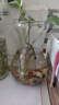 南京雨花石原石水培鵝卵石多肉鋪面魚缸盆栽七五彩小石頭 小小雨花石0.4到0.9CM（50克） 曬單實拍圖