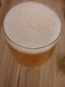 青島啤酒原漿【一廠生產(chǎn)】7天鮮活精釀青島原漿1L*2瓶4瓶鮮啤禮盒裝登州路 原漿 1L 4瓶 曬單實(shí)拍圖