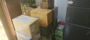 農夫山泉尖叫運動(dòng)飲料 550ml纖維多肽多白桃青芒 補充電解質(zhì)水 多口味混合550ml*15瓶 曬單實(shí)拍圖