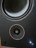 PSB加拿大保羅巴頓PSB Alpha AM5有源2.0桌面音響hifi發(fā)燒音箱藍牙高保真 尊貴黑 曬單實拍圖