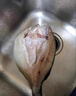簡(jiǎn)鮮新鮮活凍三去開(kāi)背開(kāi)腹白蕉鎮海鱸魚(yú)海魚(yú)海鮮水產(chǎn)去鰓去鱗去內臟 三去海鱸魚(yú)250-300克*6條裝 曬單實(shí)拍圖