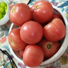 京鮮生 山東海陽普羅旺斯西紅柿 凈重3斤 單果125g起 沙瓢番茄 源頭直發(fā) 曬單實拍圖