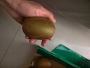 佳沛（zespri）新西蘭 陽光金奇異果12粒禮盒特大果單果約122-146g 獼猴桃 水果 曬單實拍圖