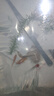 瘋狂水草魚(yú)缸水草真水草凈化水植物種植環(huán)綠菊花紅松尾狐尾草源頭直發(fā)包郵 曬單實(shí)拍圖