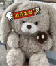 澳捷爾（Aoger）毛絨玩具兔子玩偶公仔抱枕新年情人節禮物送女孩生日禮物13號坐姿 曬單實(shí)拍圖