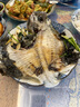 【大只】鮮活大多寶魚1條（600-800g） 曬單實拍圖