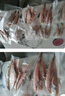 皮小鮮龍利魚(yú) 舌頭魚(yú)去頭去皮去臟 兒童寶寶輔食新鮮冷凍 250g/袋深海魚(yú) 【深海捕撈】2000g（24-32條） 曬單實(shí)拍圖