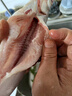 查干湖三去麻鰱魚(yú) 白魚(yú)翹嘴魚(yú)生鮮淡水魚(yú) 去鱗去鰓去內臟凈膛 新鮮冷凍 三去麻鰱魚(yú)3斤（4-6條/斤） 曬單實(shí)拍圖