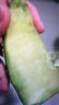 京鮮生蜜蜂授粉牛三蜜瓜網(wǎng)紋瓜單果2斤起凈重4.5-5斤 2粒禮盒源頭直發(fā) 曬單實(shí)拍圖