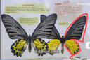 飛利浦（PHILIPS）頭燈強(qiáng)光超長(zhǎng)續(xù)航釣魚(yú)夜釣登山趕海超亮戶外頭戴式照明燈SFL1851 曬單實(shí)拍圖