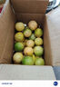 正宗廣西欽蜜9號百香果新鮮水果北城現摘香甜營(yíng)養豐富多汁鮮果 3個(gè)寶寶果 曬單實(shí)拍圖