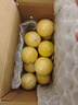 京鮮生 黃金百香果 2斤裝 約13-15粒 單果約70g 酸甜欽蜜 生鮮水果 曬單實拍圖
