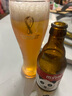 杰克熊貓 精釀小麥白啤 原麥汁濃度10.2°P 300ml*20瓶 整箱裝  曬單實拍圖