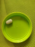 Swisse斯維詩 2代護(hù)肝片 奶薊草膽堿片西藍(lán)花籽 養(yǎng)肝去油120片/瓶 曬單實(shí)拍圖
