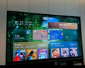 TCL雷鳥電視 85鶴6 PRO 25款（PLUS版） 85英寸QD-MiniLED高階VA 家電國(guó)家補(bǔ)貼電視85S595C Pro-A 曬單實(shí)拍圖