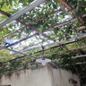 瓏煜科技太陽能吊燈戶外防水庭院燈花園別墅陽臺涼亭室內(nèi)照明燈景觀燈掛燈 太陽能遙控暖光一拖一吊燈 曬單實拍圖