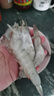 北海灣 厄瓜多爾白蝦 大蝦鮮活速凍鹽凍南美白蝦基圍蝦海蝦對蝦海鮮批發(fā) 【特大蝦 15-18cm】 3斤(凈重) 曬單實拍圖