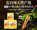 九芝堂泰康茶|冬蟲(chóng)夏草靈芝養肝護肝增強免疫力禮品高端送人|藍帽認證  曬單實(shí)拍圖