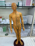 中研太和 人體針灸模型經(jīng)絡(luò )穴位中醫數字定位男模型練習 曬單實(shí)拍圖