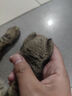 西下兒童漆扇小鋪手工diy迷你團(tuán)扇制作擺攤玩具材料包漂漆生日禮物女 曬單實(shí)拍圖