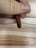 三清山雷擊七星棗木劍小掛件紫薇諱道家吊墜掛飾嬰兒童 曬單實(shí)拍圖