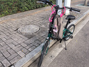 大行（DAHON）D6折疊自行車20英寸6速入門級折疊車成人學生通勤休閑單車KBC061 墨綠色 曬單實拍圖