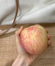 京鮮生 山東煙臺紅富士蘋(píng)果 9斤裝單果80-85mm 生鮮水果 源頭直發(fā) 曬單實(shí)拍圖