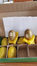 佳沛（zespri）新西蘭陽光金果10個裝獼猴桃單果重約101-124g水果獼猴桃 曬單實拍圖
