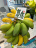 李寧CROSS系列丨中長(zhǎng)半裙女子秋季潮流簡(jiǎn)約舒適工裝風(fēng)運(yùn)動(dòng)裙 樹灰棕-2 L 曬單實(shí)拍圖