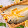 三都港 冷凍醇香黃魚鲞900g/2-3條凈重 黃花魚 生鮮 魚類 燒烤 曬單實拍圖