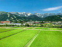 牛欄山白酒二鍋頭 大桶裝 清香風(fēng)格高度酒 新老包裝隨機發(fā)【官方授權】 42度 2L 6桶 整箱裝 曬單實(shí)拍圖