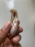 應季新鮮沙地帶殼鮮花生農家自種現挖現發(fā)蔬菜批發(fā)京東包郵 帶箱 帶殼花生5斤 曬單實(shí)拍圖