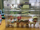 威爾基盲盒展示架手辦柜展示柜收納玩具展示盒泡泡瑪特收納盒亞克力玩偶  全透明【特大號/內置4層】 【亞克力全透明、磁吸門(mén)、帶貼紙】 曬單實(shí)拍圖