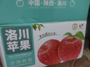 洛川蘋(píng)果陜西延安特產(chǎn)紅富士時(shí)令蘋(píng)果水果禮盒送蘋(píng)果生鮮新鮮脆甜整箱批發(fā) 凈重8.5斤 70-75mm彩箱裝 爆賣(mài) 曬單實(shí)拍圖
