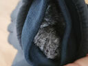 TUTORGOOSE滑雪手套女冬季保暖觸屏防寒玩雪防潑水加絨加厚騎行電動(dòng)車手套男 女款-綠色（全掌觸屏-拉鏈口袋設(shè)計(jì)） 均碼 曬單實(shí)拍圖