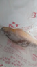 鴻順【冰鮮】黃花魚(yú)4條4斤 生鮮魚(yú)類(lèi) 寧德大黃魚(yú) 地標產(chǎn)品 源頭直發(fā) 曬單實(shí)拍圖