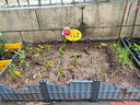 田園土優(yōu)質(zhì)種菜專(zhuān)用花土養(yǎng)花通用園藝盆栽種植泥土天然有機(jī)營(yíng)養(yǎng)土 田園土100斤（過(guò)篩除雜 無(wú)蟲(chóng)害） 曬單實(shí)拍圖
