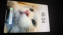Apple/蘋果 iPad11英寸 A16芯片2025年款 平板電腦 (128GB WLAN版/學(xué)習(xí)辦公娛樂(lè))藍(lán)色 曬單實(shí)拍圖