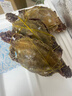 梭子蟹鮮活特大野生舟山大螃蟹海鮮新鮮冷凍海蟹水產(chǎn)飛蟹白蟹順豐 3-5兩/只 【凈重3斤舟山梭子蟹】 曬單實(shí)拍圖
