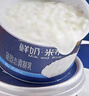 簡(jiǎn)愛鮮奶米布丁低溫鮮牛乳營(yíng)養(yǎng)甜品【135g*10杯】源頭直發(fā) 包郵 曬單實(shí)拍圖